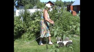 Июнь на даче. Работа и отдых.