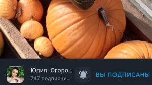 Любимые блогеры-огородники #1 Юлия.Огородные радости