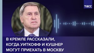 В Кремле рассказали, когда Уиткофф и Кушнер могут приехать в Москву