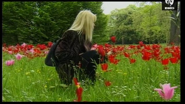 Непутевые заметки 19.07.1998