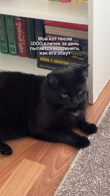 Каждый день новая 🤣