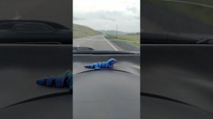 37785.mp4