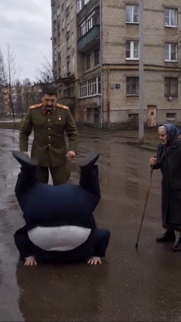 Сны пенсионеров