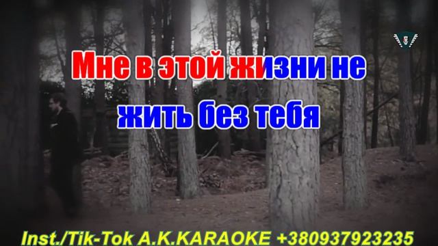 Ты береги(AK)~___Ашуров #караоке #подпишись #тренды #Kurkov @a.k.karaoke💖