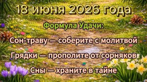 Народные приметы на 18 июня 2026 года