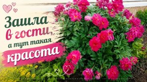 Зашла в гости, а тут такая красота