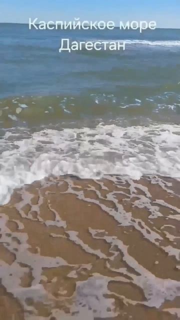 Водная стихия пяти морей