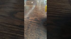 1000022641.mp4