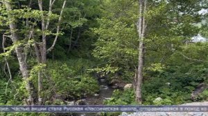 15.06.2026 200 сахалинцев прошлись экологической тропой по проекту «Чистый воздух»