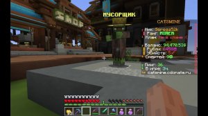 ИГРАЮ В МАЙН НА СЕРВЕРЕ CATSMINE