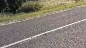 «Из полей уносится печаль...«Гуляю и пою...😄♥️