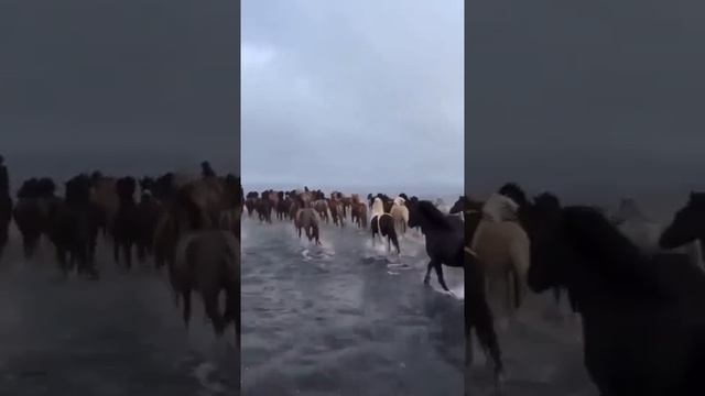 Человек устроен: всё ему не так