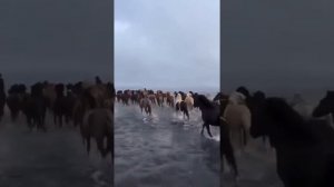 Человек устроен: всё ему не так