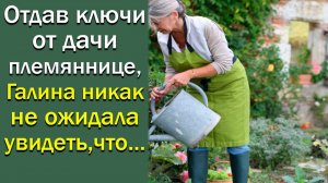 Отдав ключи от дачи племяннице, Галина никак не ожидала увидеть, что...