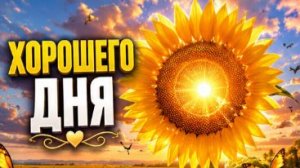 С Добрым Утром Новым Летним Днем 🌼 Музыкальные Открытки