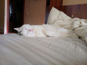 пишите мне комы пожалуйста