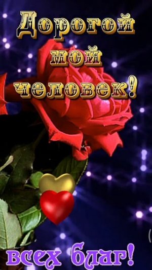 Добрый вечер 🌃