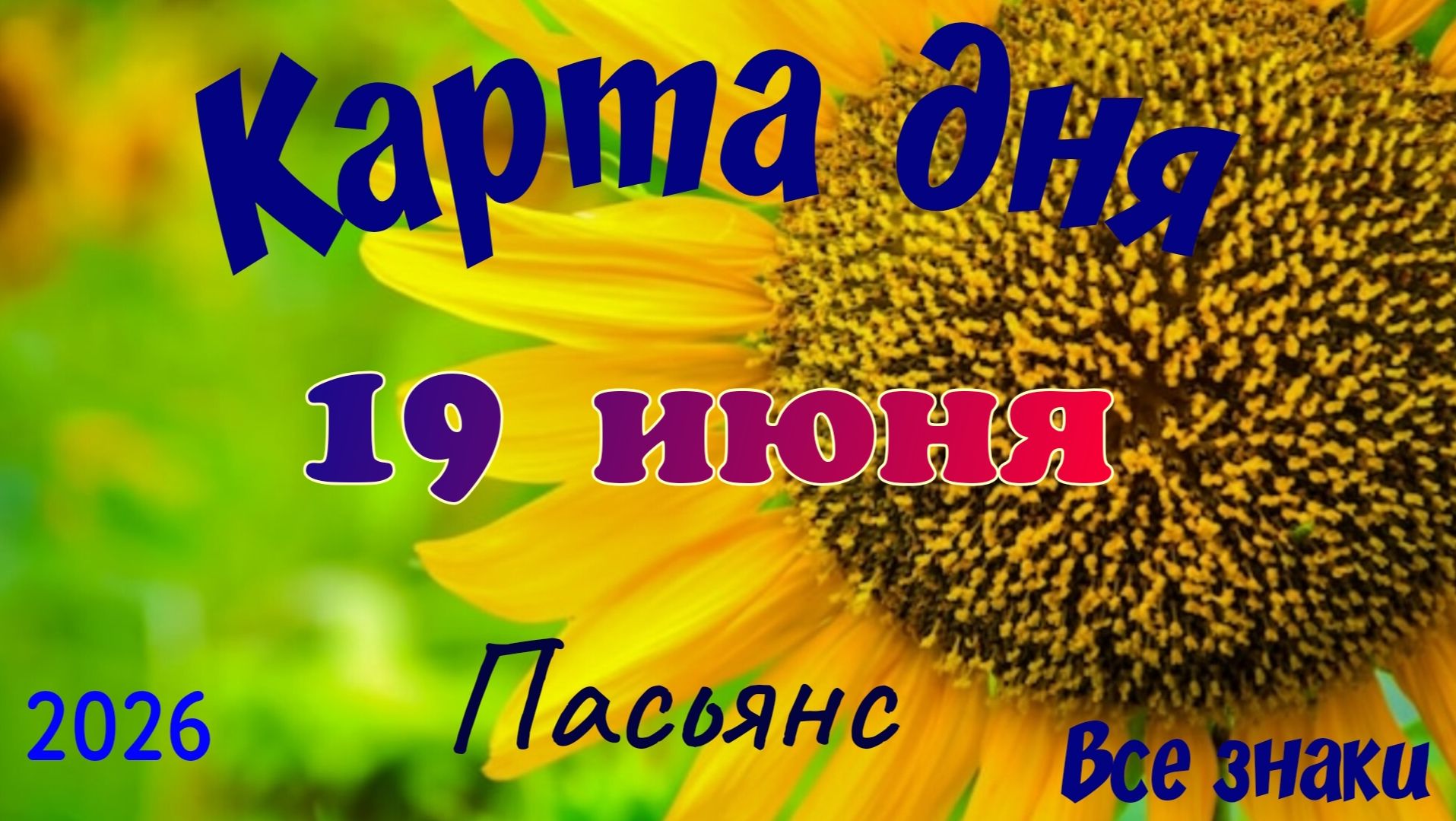 Карта дня🍓19 июня 💫🍀Пасьянс. Тайм-код в описании 🦢 смотреть онлайн