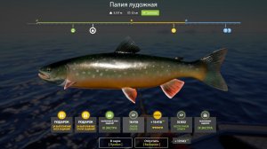 ТОЧКА НА ПАЛИЮ ДЛЯ ЗАДАНИЯ!!!ЛАДОЖСКИЙ АРХИПЕЛАГ!!!- РУССКАЯ РЫБАЛКА 4