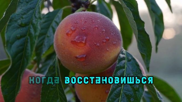Женщина лежала без сил, пока он не ворвался к енй и не увёз её в странную пещеру, откуда она ... смотреть онлайн
