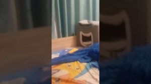 1000000074.mp4
