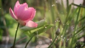 М.939)) ,,Муки совести и перегрузки.»