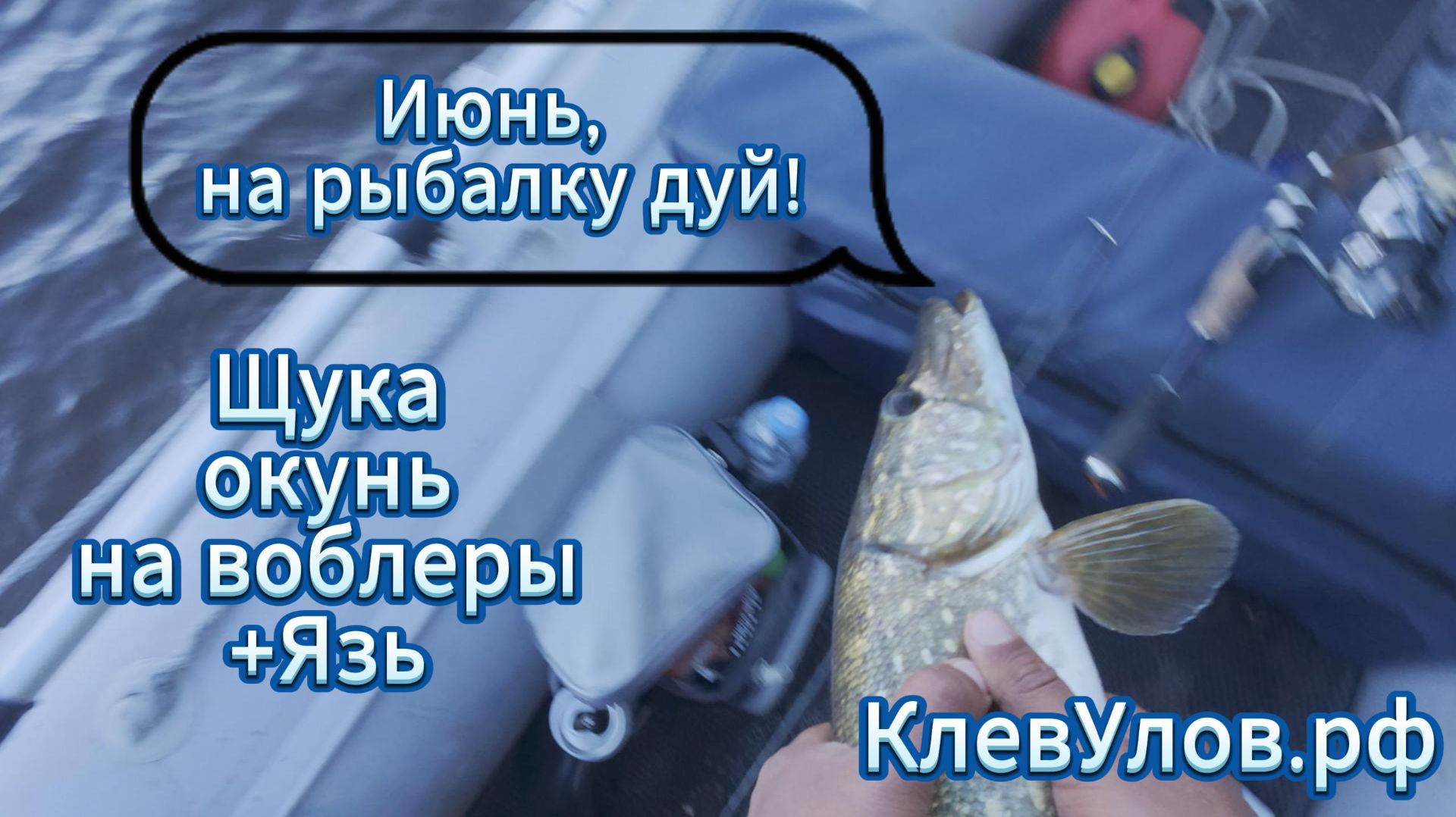 Июнь на рыбалку...Дуй! Рыбалка на озере с лодки. Ленинградская область.