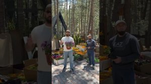 Сажаем цветы на территории Shale A Travel  #горы #цветы #цветыдлядома #прикол #юмор #сад #туи