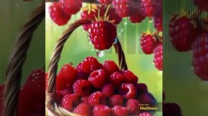 MoShow_20260617T100209.mp4