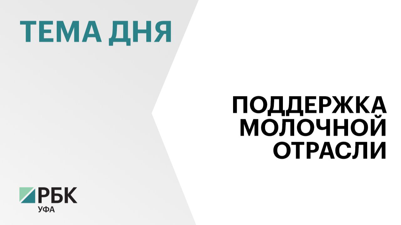 Объём поддержки молочной отрасли в Башкортостане за 8 лет составил ₽5,8 млрд
