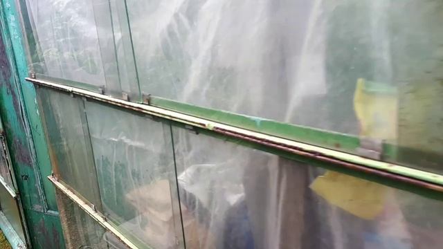 2524. Как предупредить фитофтору? Подсказка.