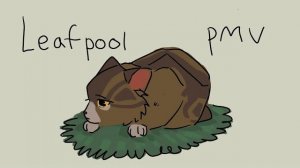 Leafpool pmv . My love is mine all mine (КОТЫ ВОИТЕЛИ АНИМАЦИЯ ПЕРЕЗАЛИВ)