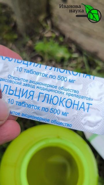 🍅 Копеечная таблетка из аптеки спасла мои урожай! 😱 Забыл про гниль томатов с 1 таблеткой 🍅👌