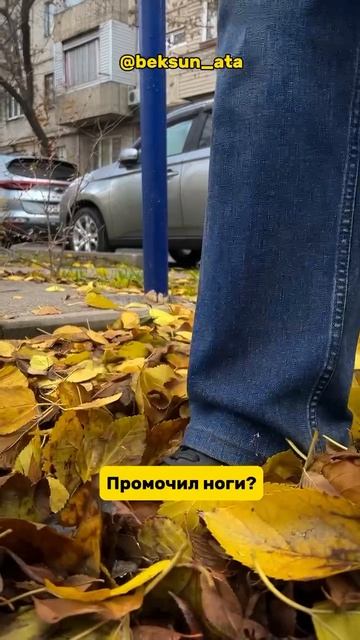 Как не заболеть осенью.
