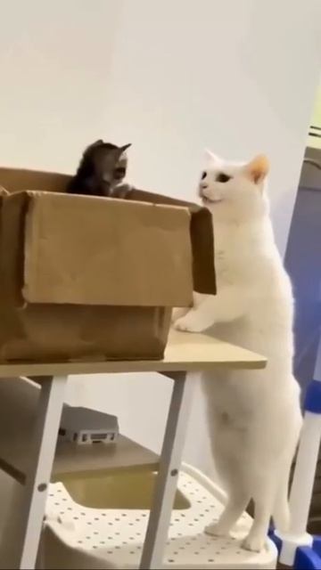 Моя воспитательница в детском саду 🙀