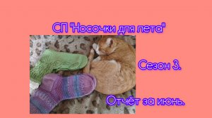 СП « Носочки для лета».  Сезон 3. Отчёт за июнь.
