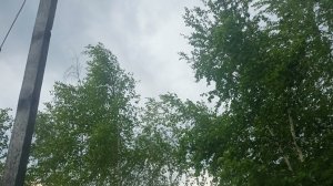 17-06-2026 Якутск. Был сильный ураган и смерчи перед грозой. Еле спасли посаженные рассады овощей.