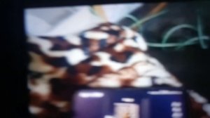 VID20260617130934.mp4
