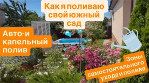 Как я поливаю свой южный сад? Системы авто и капельного полива облегчают уход, но и с лейкой бегаю