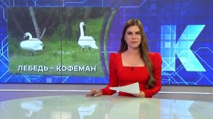 Новости Калининграда — итоги дня, 16.06.2026