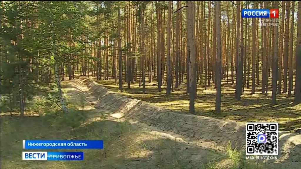 Запрет на посещение лесов введен в пяти муниципалитетах Нижегородской области