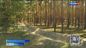 Запрет на посещение лесов введен в пяти муниципалитетах Нижегородской области