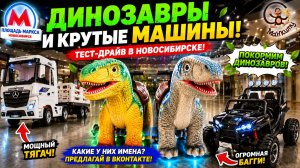 Динозавры и машинки в торговом центре: Манкиту в Новосибирске