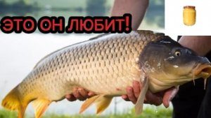 Сказано,карп это любит. Кукурузный сироп своими руками.
