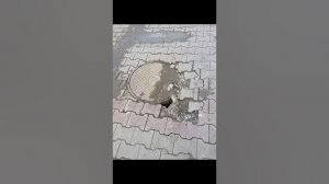 Угроза обрушения асфальта и Канализационного люка. Мытищи