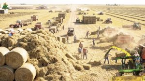 Как убирают сено на Американских фермах по производству кормов для животных.