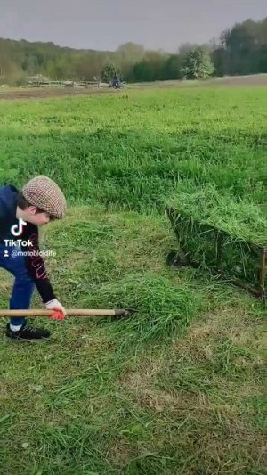 трактор з бензокоси