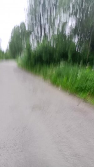 СРИМ