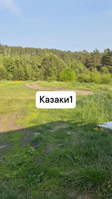 казаки1