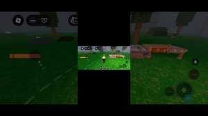 makssssss 7979